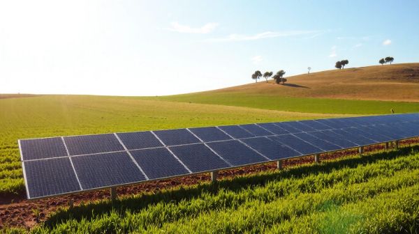 Exploiter ses terres grâce à l'énergie photovoltaïque agricole